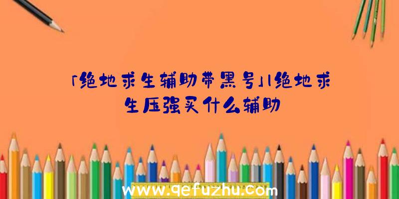 「绝地求生辅助带黑号」|绝地求生压强买什么辅助